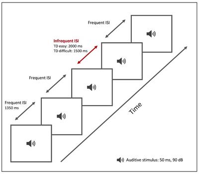 Time discrimination and change detection could share a common brain network: findings of a task-based fMRI study